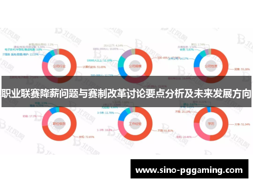 职业联赛降薪问题与赛制改革讨论要点分析及未来发展方向