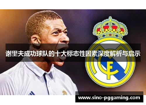 谢里夫成功球队的十大标志性因素深度解析与启示
