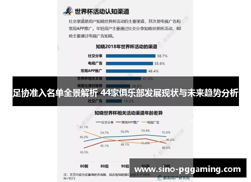 足协准入名单全景解析 44家俱乐部发展现状与未来趋势分析