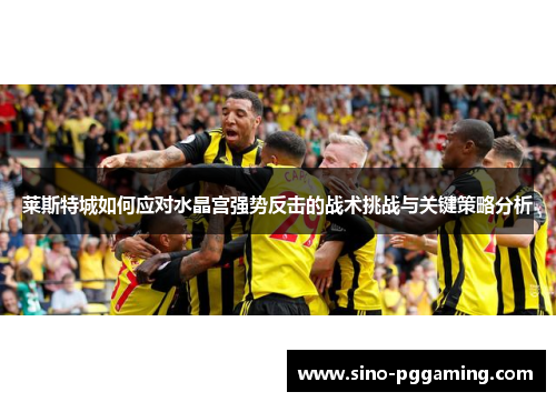 莱斯特城如何应对水晶宫强势反击的战术挑战与关键策略分析