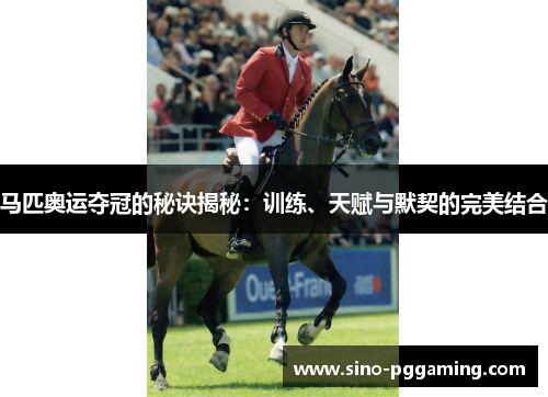 马匹奥运夺冠的秘诀揭秘：训练、天赋与默契的完美结合