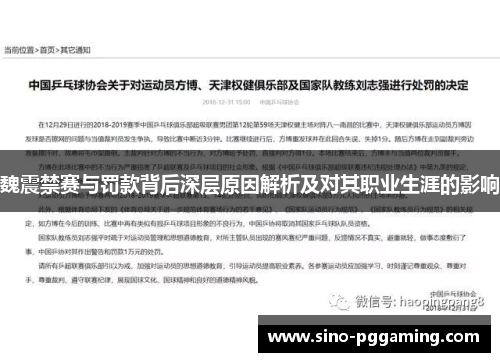 魏震禁赛与罚款背后深层原因解析及对其职业生涯的影响