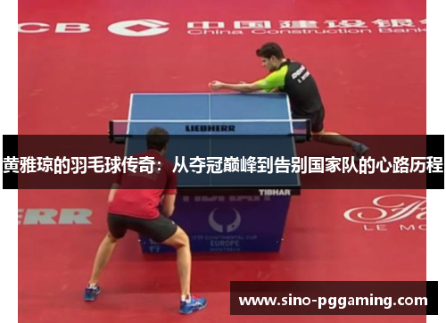 黄雅琼的羽毛球传奇：从夺冠巅峰到告别国家队的心路历程