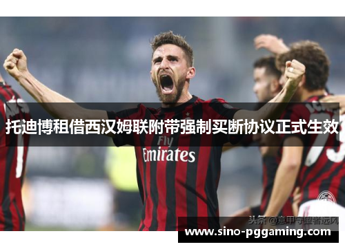 托迪博租借西汉姆联附带强制买断协议正式生效 托迪博租借西汉姆联附带强制买断协议正式生效
