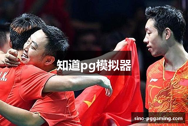 知道pg模拟器